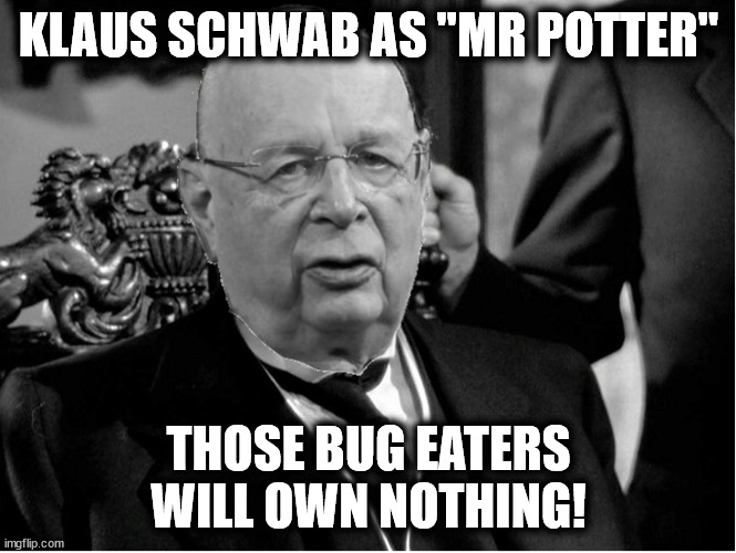 Klaus Does Potter | KLAUS SCHWAB AS "MR POTTER"; THOSE BUG EATERS
WILL OWN NOTHING! | image tagged in wonderful life,schwab,potter | made w/ Imgflip meme maker
