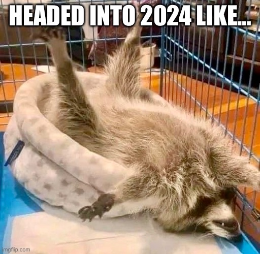 Headed into 2024 like | HEADED INTO 2024 LIKE… | image tagged in 2024,new years,raccoon,asleep,happy new year | made w/ Imgflip meme maker