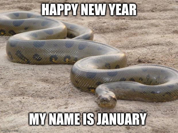 Happy New Year, it's January slithering to you | HAPPY NEW YEAR; MY NAME IS JANUARY | image tagged in anaconda,january,happy new year,memes,eek,doom | made w/ Imgflip meme maker