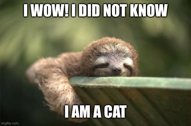 Snooze Button Sloth | I WOW! I DID NOT KNOW I AM A CAT | image tagged in snooze button sloth | made w/ Imgflip meme maker