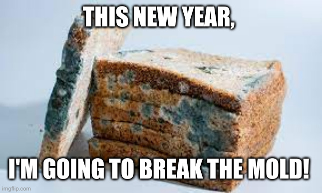 Let's break the mold this year! | THIS NEW YEAR, I'M GOING TO BREAK THE MOLD! | image tagged in break the mold,breaking habits,cleaning the kitchen,memes,bread | made w/ Imgflip meme maker