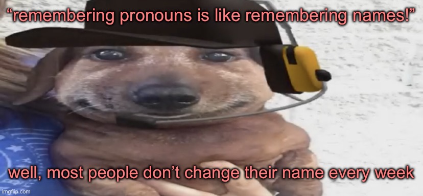 chucklenuts | “remembering pronouns is like remembering names!”; well, most people don’t change their name every week | image tagged in chucklenuts | made w/ Imgflip meme maker