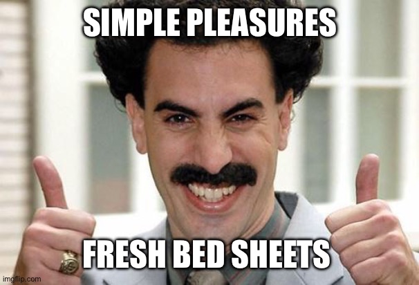 Adulting | SIMPLE PLEASURES; FRESH BED SHEETS | image tagged in great success | made w/ Imgflip meme maker