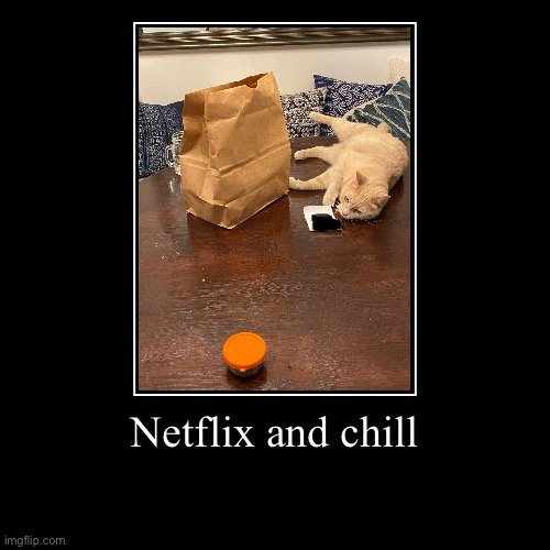 This cat captures a whole vibe | Netflix and chill | | image tagged in funny,demotivationals,cats,memes | made w/ Imgflip demotivational maker