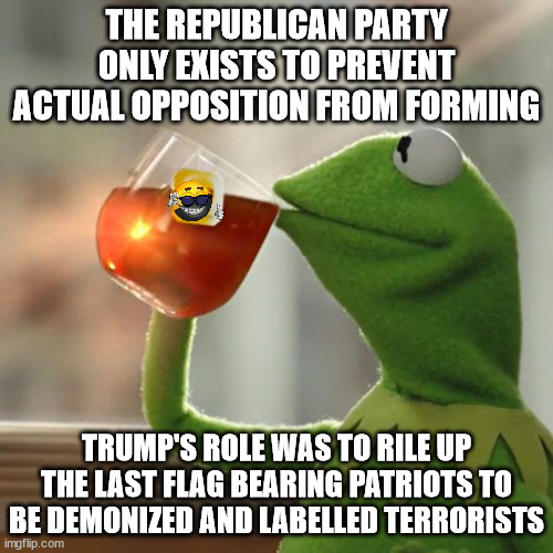 Democracy | THE REPUBLICAN PARTY ONLY EXISTS TO PREVENT ACTUAL OPPOSITION FROM FORMING; TRUMP'S ROLE WAS TO RILE UP THE LAST FLAG BEARING PATRIOTS TO BE DEMONIZED AND LABELLED TERRORISTS | image tagged in memes,but that's none of my business,kermit the frog,trump,democrracy,2024 | made w/ Imgflip meme maker