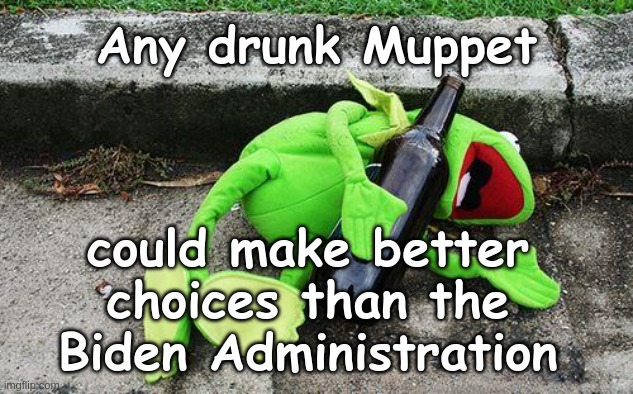 Drunk Kermit | Any drunk Muppet; could make better choices than the Biden Administration | image tagged in drunk kermit | made w/ Imgflip meme maker