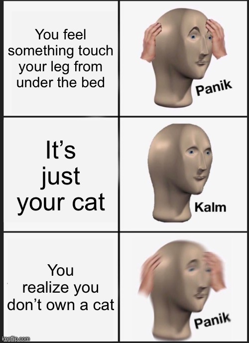 Panik Kalm Panik | You feel something touch your leg from under the bed; It’s just your cat; You realize you don’t own a cat | image tagged in memes,panik kalm panik | made w/ Imgflip meme maker