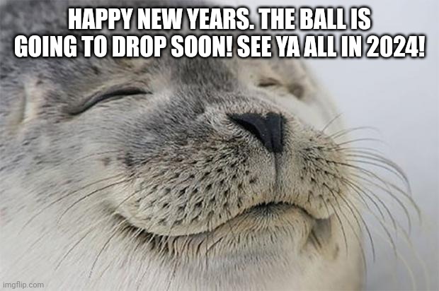 See you all next year! | HAPPY NEW YEARS. THE BALL IS GOING TO DROP SOON! SEE YA ALL IN 2024! | image tagged in memes,satisfied seal | made w/ Imgflip meme maker