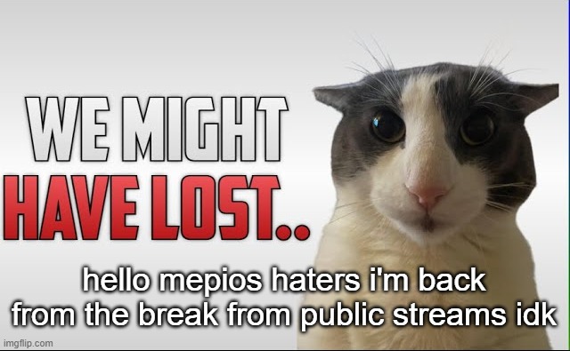We might have Lost.. | hello mepios haters i'm back from the break from public streams idk | image tagged in we might have lost | made w/ Imgflip meme maker