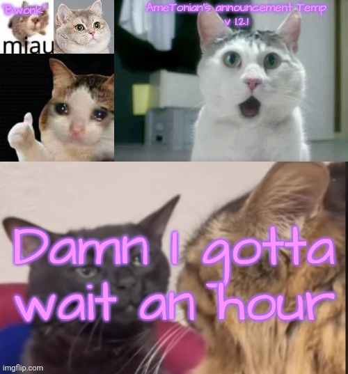 AmeTonian's announcement Temp v 1.2.1 | Damn I gotta wait an hour | image tagged in ametonian's announcement temp v 1 2 1 | made w/ Imgflip meme maker