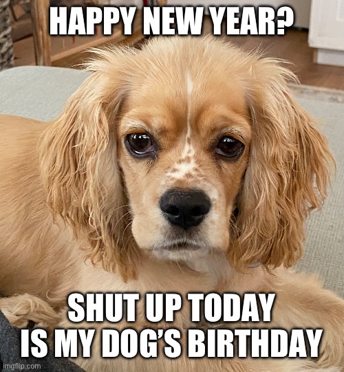HAPPY NEW YEAR? SHUT UP TODAY IS MY DOG’S BIRTHDAY | made w/ Imgflip meme maker