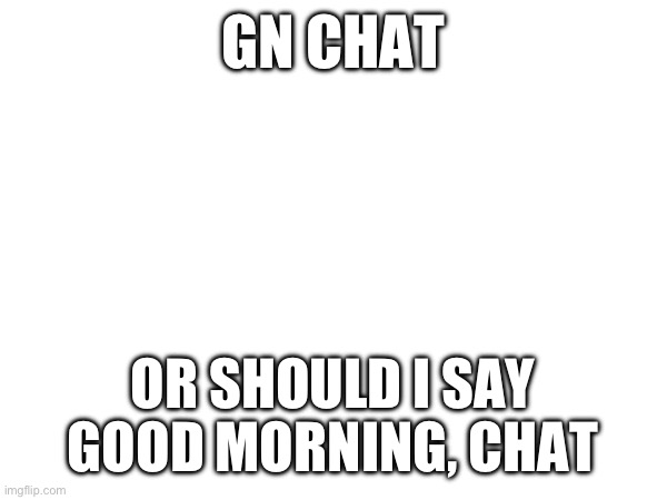 GN CHAT; OR SHOULD I SAY GOOD MORNING, CHAT | made w/ Imgflip meme maker