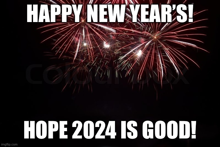 HAPPY NEW YEAR! | HAPPY NEW YEAR’S! HOPE 2024 IS GOOD! | image tagged in happy new year,fun,holidays | made w/ Imgflip meme maker