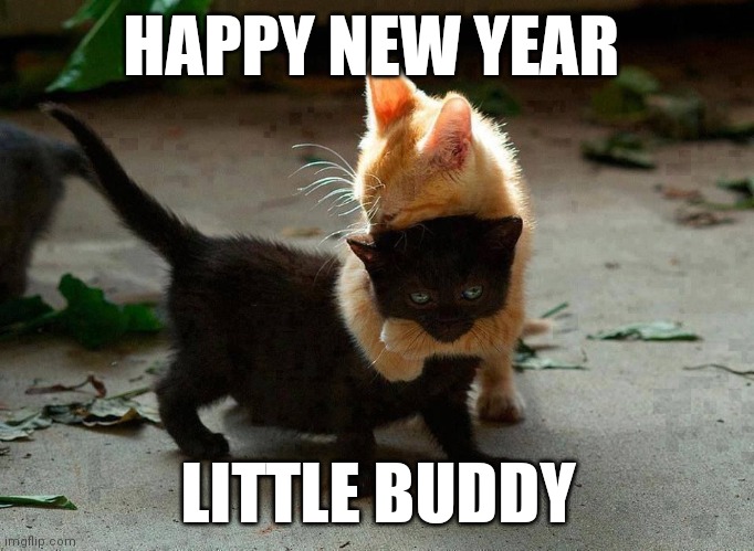 Happy New Year | HAPPY NEW YEAR; LITTLE BUDDY | image tagged in kitten hug,funny memes | made w/ Imgflip meme maker