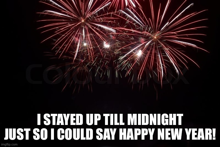 Have a great 2024 everyone | I STAYED UP TILL MIDNIGHT JUST SO I COULD SAY HAPPY NEW YEAR! | image tagged in happy new year,2024 | made w/ Imgflip meme maker