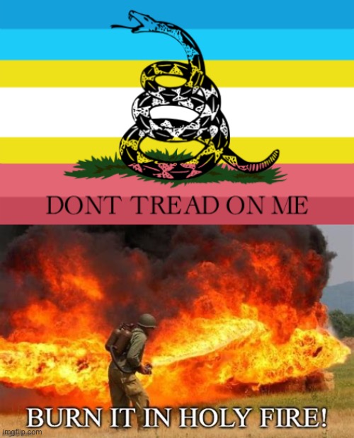 Found this while looking for libertarian meme templates | image tagged in kill it with fire | made w/ Imgflip meme maker