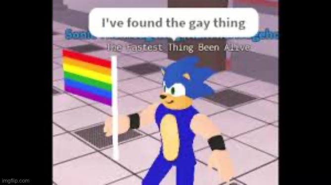 he found the gay thing | image tagged in he found the gay thing | made w/ Imgflip meme maker