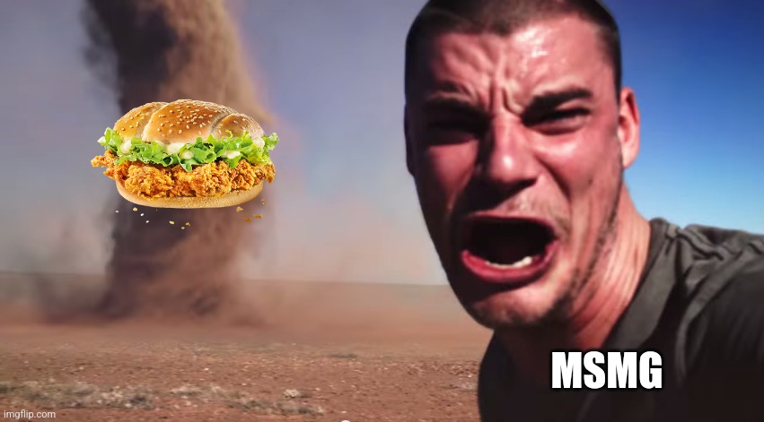 Feeling cute, might go on a chicken sandwich posting spree | MSMG | image tagged in here it comes | made w/ Imgflip meme maker