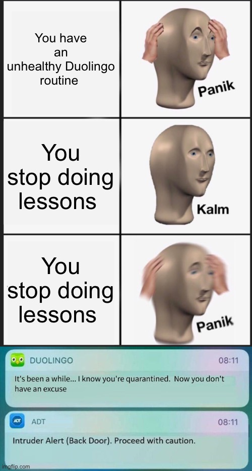 It’s true | You have an unhealthy Duolingo routine; You stop doing lessons; You stop doing lessons | image tagged in memes,panik kalm panik,duolingo | made w/ Imgflip meme maker
