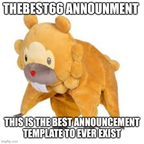 Last post for the year (happy new years) | THIS IS THE BEST ANNOUNCEMENT TEMPLATE TO EVER EXIST | image tagged in please don't use | made w/ Imgflip meme maker