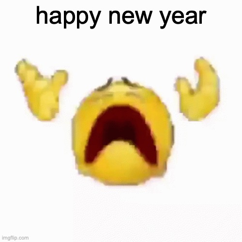 :nooo: | happy new year | image tagged in nooo | made w/ Imgflip meme maker