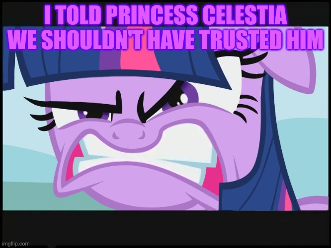 angry twilight sparkle | I TOLD PRINCESS CELESTIA WE SHOULDN'T HAVE TRUSTED HIM | image tagged in angry twilight sparkle | made w/ Imgflip meme maker