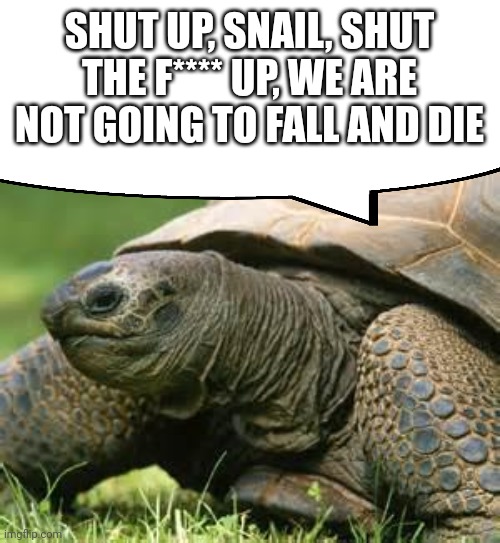 Contemplative Turtle | SHUT UP, SNAIL, SHUT THE F**** UP, WE ARE NOT GOING TO FALL AND DIE | image tagged in contemplative turtle | made w/ Imgflip meme maker