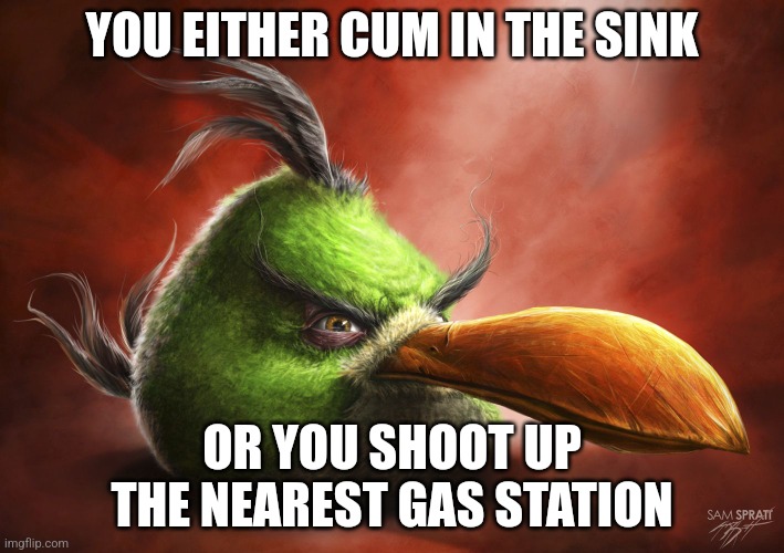 Realistic Angry Bird | YOU EITHER CUM IN THE SINK; OR YOU SHOOT UP THE NEAREST GAS STATION | image tagged in realistic angry bird | made w/ Imgflip meme maker