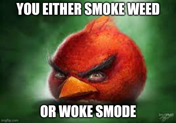 Realistic Red Angry Birds | YOU EITHER SMOKE WEED; OR WOKE SMODE | image tagged in realistic red angry birds | made w/ Imgflip meme maker