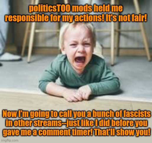 Some people seem to believe that slander will stop us from doing the right thing. | politicsTOO mods held me responsible for my actions! It's not fair! Now I'm going to call you a bunch of fascists
in other streams--just like I did before you
gave me a comment timer! That'll show you! | image tagged in temper tantrum,misinformation,insults,conservative hypocrisy,trolling,special snowflake | made w/ Imgflip meme maker