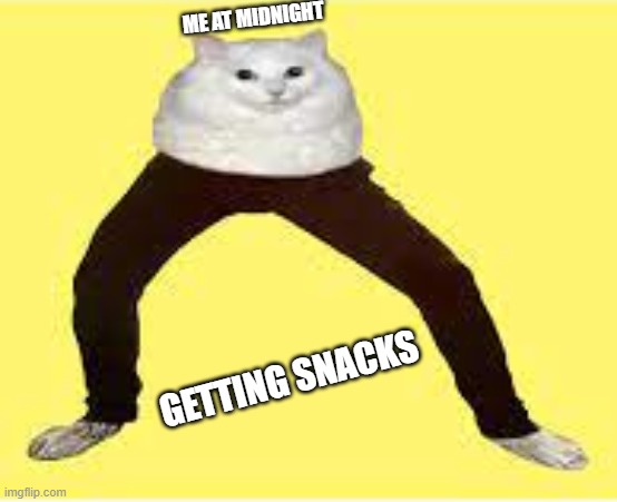 nen | ME AT MIDNIGHT; GETTING SNACKS | image tagged in human cat | made w/ Imgflip meme maker