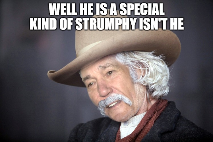 WELL HE IS A SPECIAL KIND OF STRUMPHY ISN'T HE | image tagged in kewlew | made w/ Imgflip meme maker