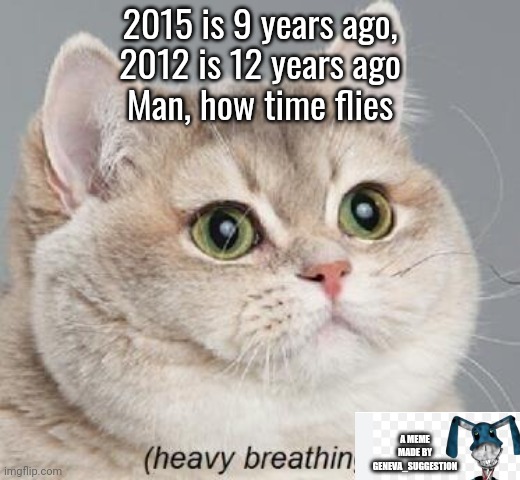 Dayum | 2015 is 9 years ago,
2012 is 12 years ago
Man, how time flies; A MEME MADE BY GENEVA_SUGGESTION | image tagged in memes,heavy breathing cat | made w/ Imgflip meme maker