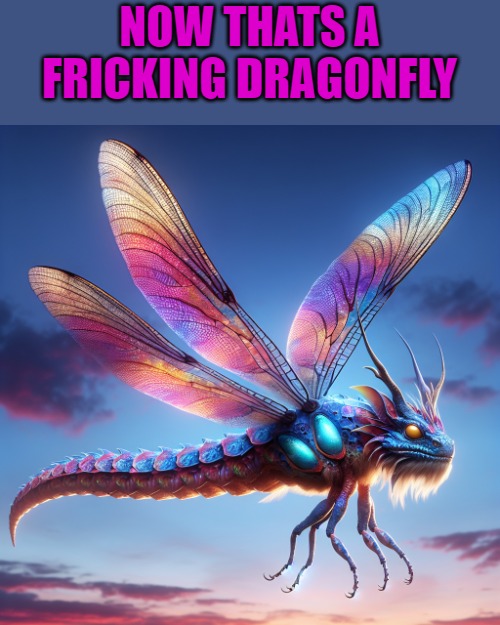 dragonfly | NOW THATS A FRICKING DRAGONFLY | image tagged in oh wow are you actually reading these tags,dragonfly,kewlew | made w/ Imgflip meme maker