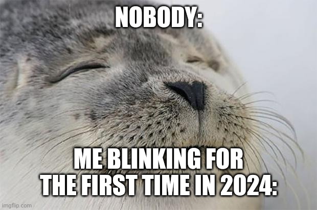 My first meme of 2024 | NOBODY:; ME BLINKING FOR THE FIRST TIME IN 2024: | image tagged in memes,satisfied seal,new years | made w/ Imgflip meme maker