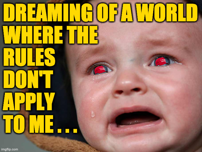 DREAMING OF A WORLD
WHERE THE
RULES
DON'T
APPLY
TO ME . . . | made w/ Imgflip meme maker