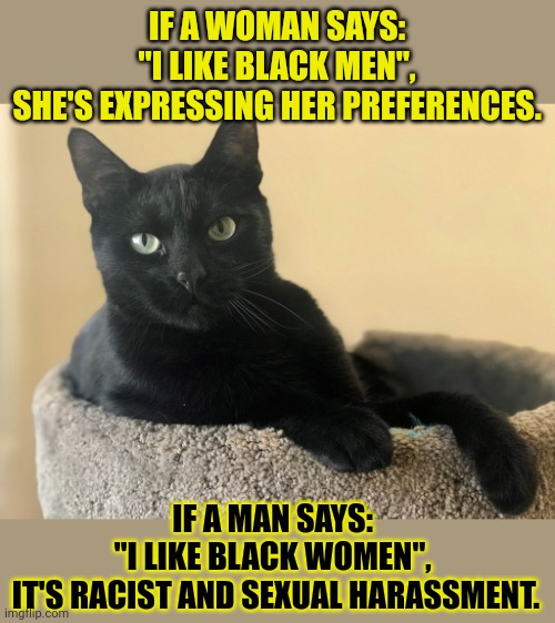 This #lolcat wonders if we should treat men and women differently | IF A WOMAN SAYS: 
"I LIKE BLACK MEN", 
SHE'S EXPRESSING HER PREFERENCES. IF A MAN SAYS: 
"I LIKE BLACK WOMEN", 
IT'S RACIST AND SEXUAL HARASSMENT. | image tagged in equality,gender equality,feminism,racism,sexual harrassment,think about it | made w/ Imgflip meme maker