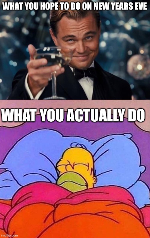 Happy New Years | WHAT YOU HOPE TO DO ON NEW YEARS EVE; WHAT YOU ACTUALLY DO | image tagged in memes,leonardo dicaprio cheers,homer simpson sleeping peacefully | made w/ Imgflip meme maker