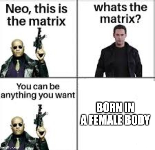 Context: I am a trans gorl | BORN IN A FEMALE BODY | image tagged in neo this is the matrix | made w/ Imgflip meme maker
