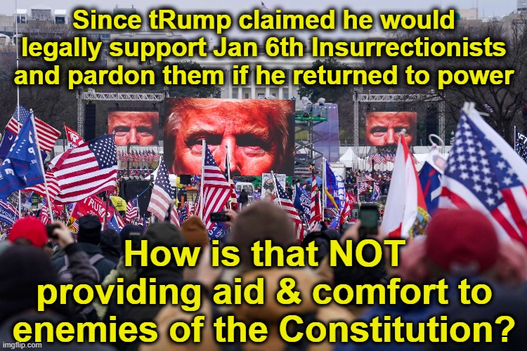 Enemies of the Constitution | Since tRump claimed he would legally support Jan 6th Insurrectionists and pardon them if he returned to power; How is that NOT providing aid & comfort to enemies of the Constitution? | image tagged in maga,trump supporters,nevertrump meme,devious donald,trump,right wing | made w/ Imgflip meme maker