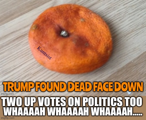 TWO UP VOTES ON POLITICS TOO WHAAAAH WHAAAAH WHAAAAH….. | made w/ Imgflip meme maker