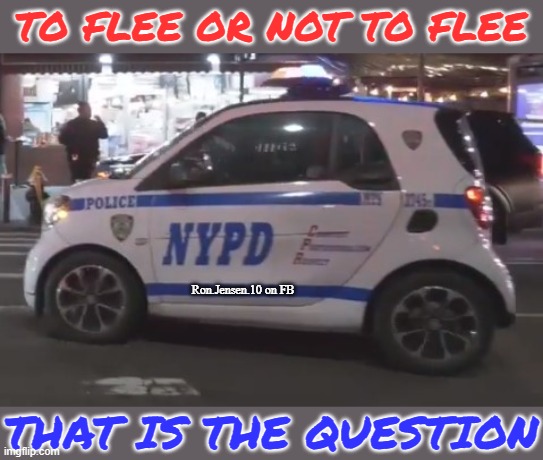 Flee Or Pull Over? | TO FLEE OR NOT TO FLEE; Ron.Jensen.10 on FB; THAT IS THE QUESTION | image tagged in police,police chasing guy,police car,police pull over | made w/ Imgflip meme maker
