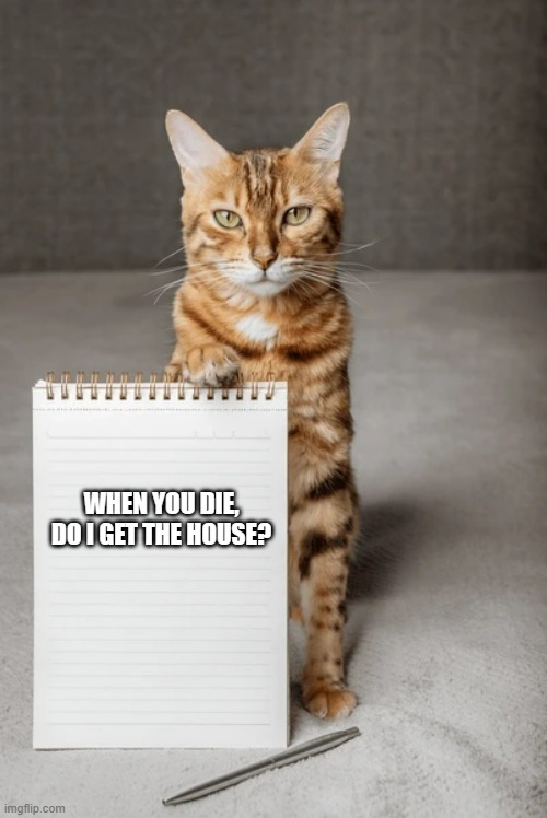 meme by Brad cat holding note | WHEN YOU DIE, DO I GET THE HOUSE? | image tagged in cats,cat,cat memes,cat meme,humor | made w/ Imgflip meme maker