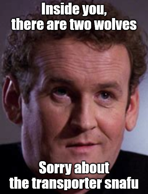 Miles O'Brian Star Trek | Inside you, there are two wolves; Sorry about the transporter snafu | image tagged in miles o'brian star trek,inside you there are two wolves,star trek | made w/ Imgflip meme maker