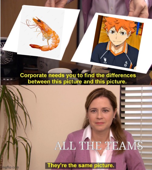 Haikyuu | ALL THE TEAMS | image tagged in memes,they're the same picture | made w/ Imgflip meme maker