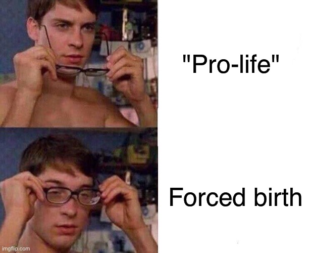 Why is it that conservatives treat women like baby containers? | "Pro-life"; Forced birth | image tagged in spiderman glasses,memes,politics,abortion | made w/ Imgflip meme maker