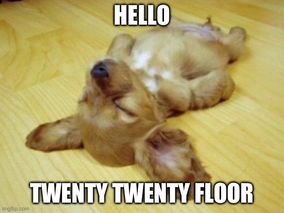 2024 | HELLO; TWENTY TWENTY FLOOR | image tagged in passed out puppy,happy new year,floor | made w/ Imgflip meme maker