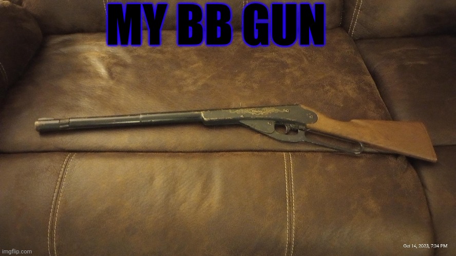 Who likes it? | MY BB GUN | made w/ Imgflip meme maker