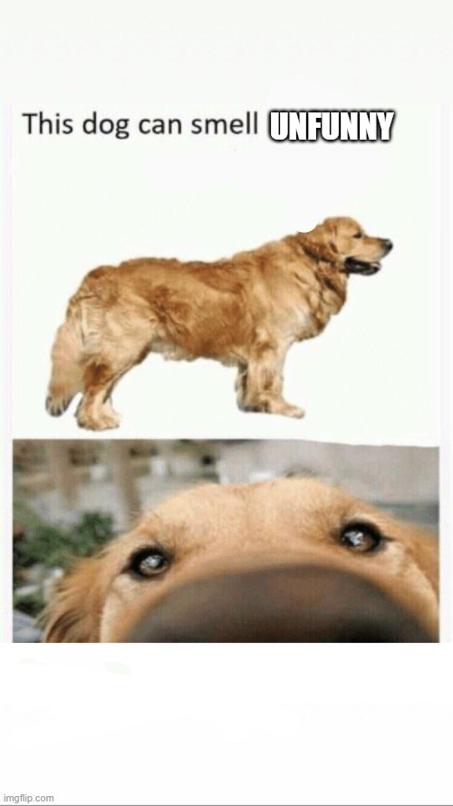 this dog can smell | UNFUNNY | image tagged in this dog can smell | made w/ Imgflip meme maker