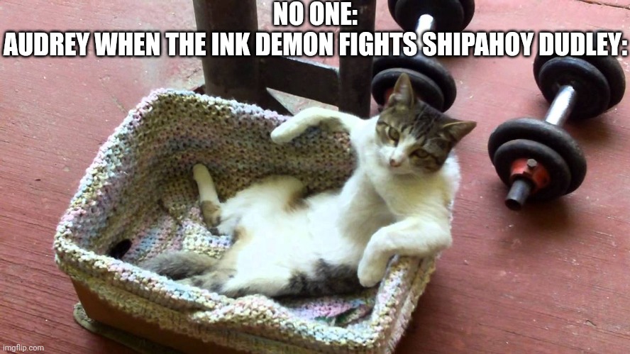 cat just chillin | NO ONE:
AUDREY WHEN THE INK DEMON FIGHTS SHIPAHOY DUDLEY: | image tagged in cat just chillin | made w/ Imgflip meme maker